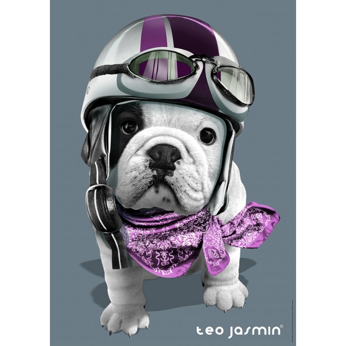 Puzzle Nathan-00349 Téo Racing / Téo Jasmin