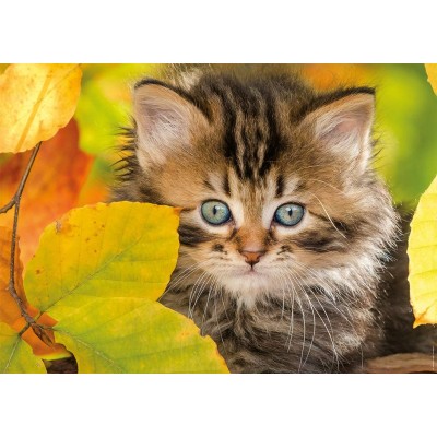 Puzzle Nathan-00945 Chaton en automne