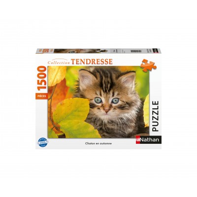 Puzzle Nathan-00945 Chaton en automne