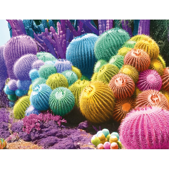 Puzzle  Nathan-01142 Arc-en-Ciel de Cactus