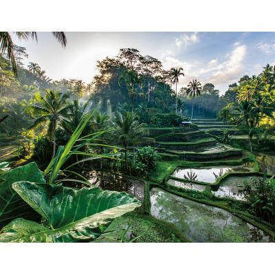 Puzzle Nathan-01518 Au Coeur de Bali