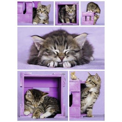 Puzzle Nathan-87227 Chatons Mignons