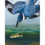 Puzzle  New-York-Puzzle-CB1856 Belted Kingfisher Mini