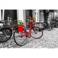 Puzzle  Nova-Puzzle-41004 La Bicyclette Rouge