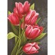 Tulipes Rouges