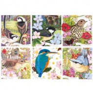 Puzzle  Otter-House-Puzzle-75079 RSPB - Garden Birds