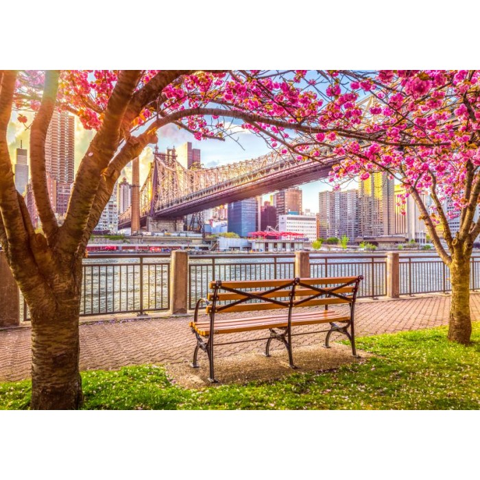 Puzzle  Roovi-80677 New York, États-Unis
